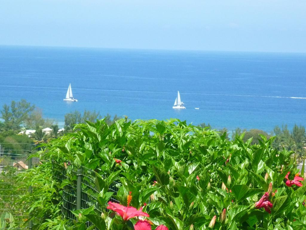 Flamboyant Ocean View - Ex Hillside Haven Appartement Tamarin Buitenkant foto